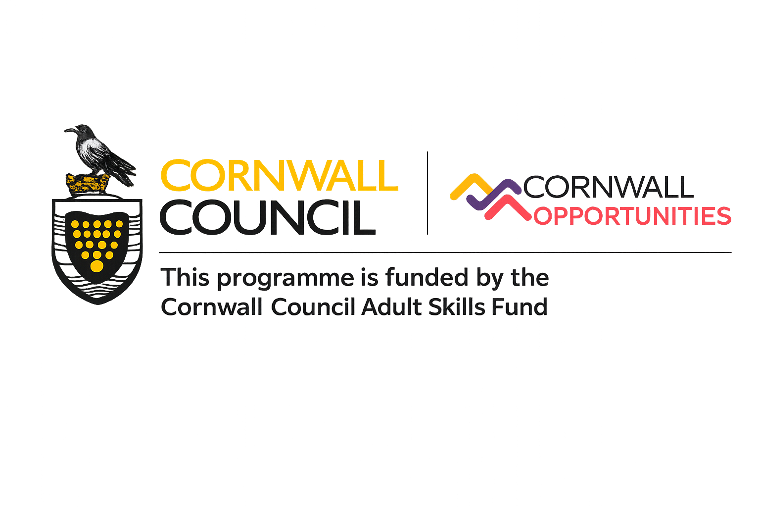 Cornwall Council